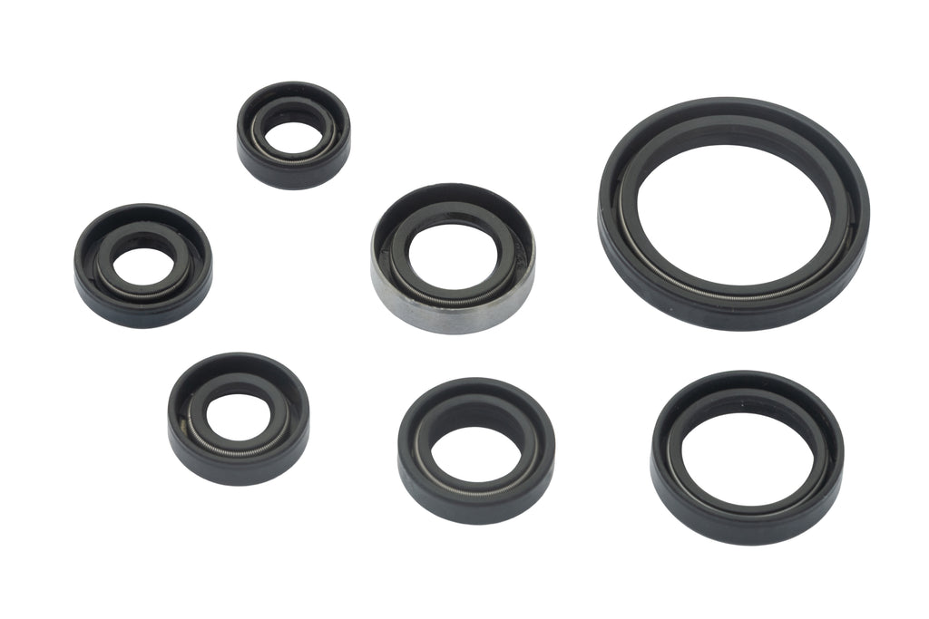 AS3 ENGINE OIL SEAL KIT | SUZUKI DRZ 400 E S SM 2000-2023
